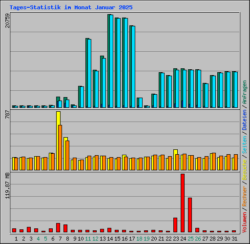 Tages-Statistik im Monat Januar 2025