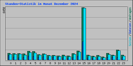 Stunden-Statistik im Monat Dezember 2024