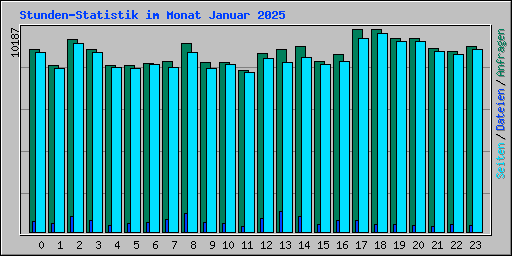 Stunden-Statistik im Monat Januar 2025