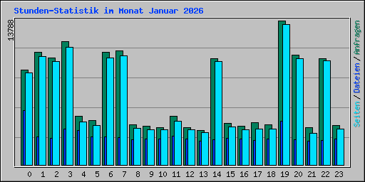 Stunden-Statistik im Monat Januar 2026