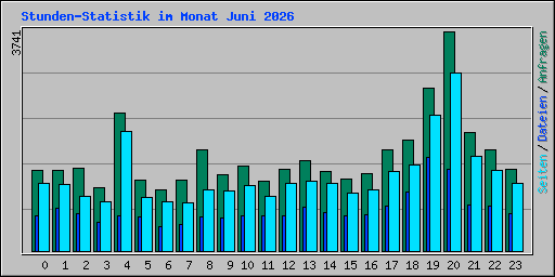 Stunden-Statistik im Monat Juni 2026