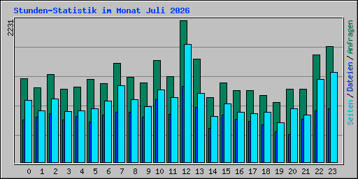 Stunden-Statistik im Monat Juli 2026
