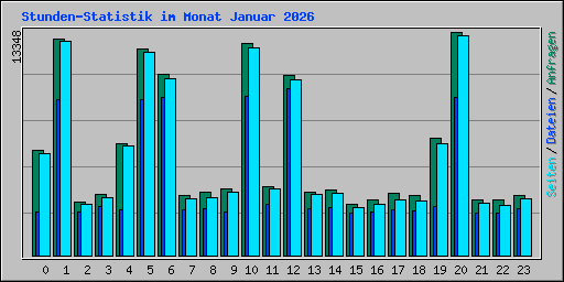Stunden-Statistik im Monat Januar 2026