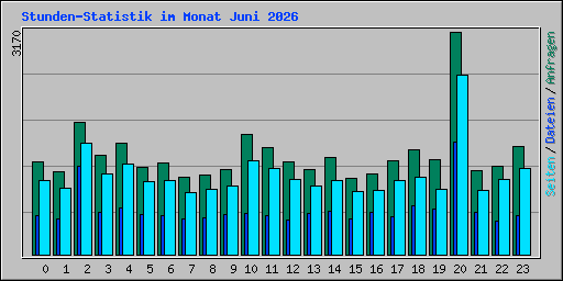 Stunden-Statistik im Monat Juni 2026
