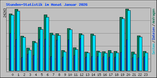 Stunden-Statistik im Monat Januar 2026